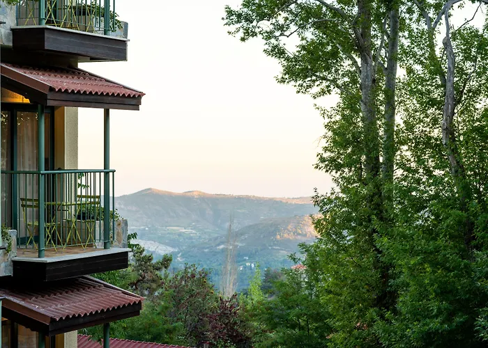 Petit Palais Boutique 플라트레스