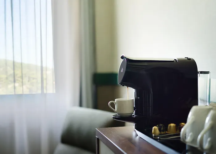 Petit Palais Boutique 호텔 플라트레스