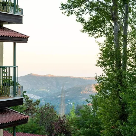 Petit Palais Boutique Hotel Platres