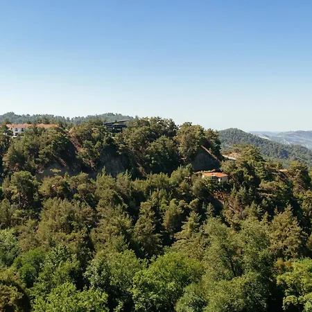 מלון Petit Palais Boutique 2*