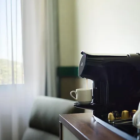 Petit Palais Boutique מלון פלטרס