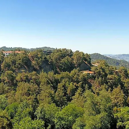 Petit Palais Boutique Hotel Platres