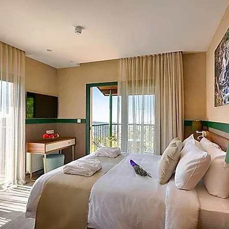 Petit Palais Boutique Hotel 2*