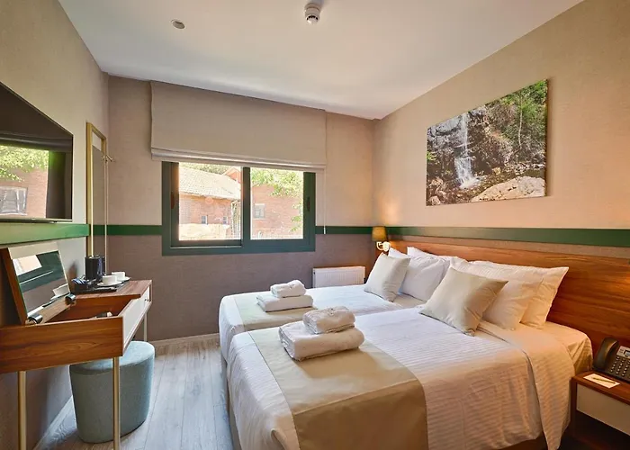 Petit Palais Boutique 2* パノ・プラトレス