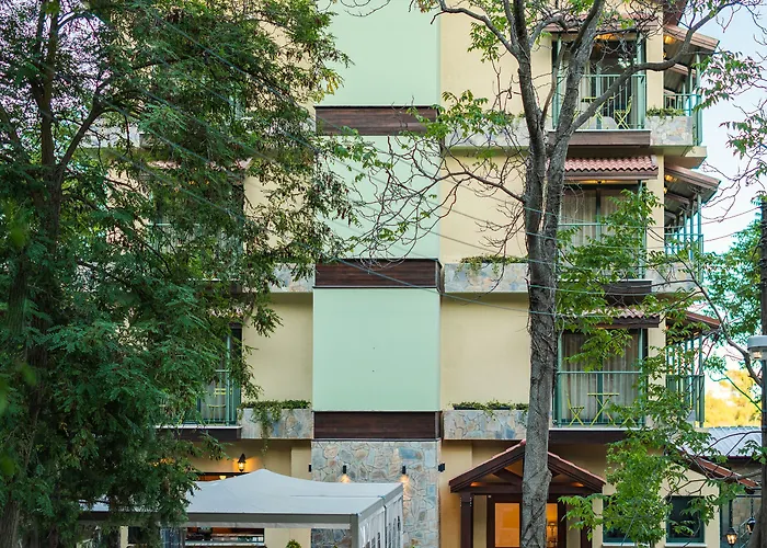 Petit Palais Boutique Hotel 2*